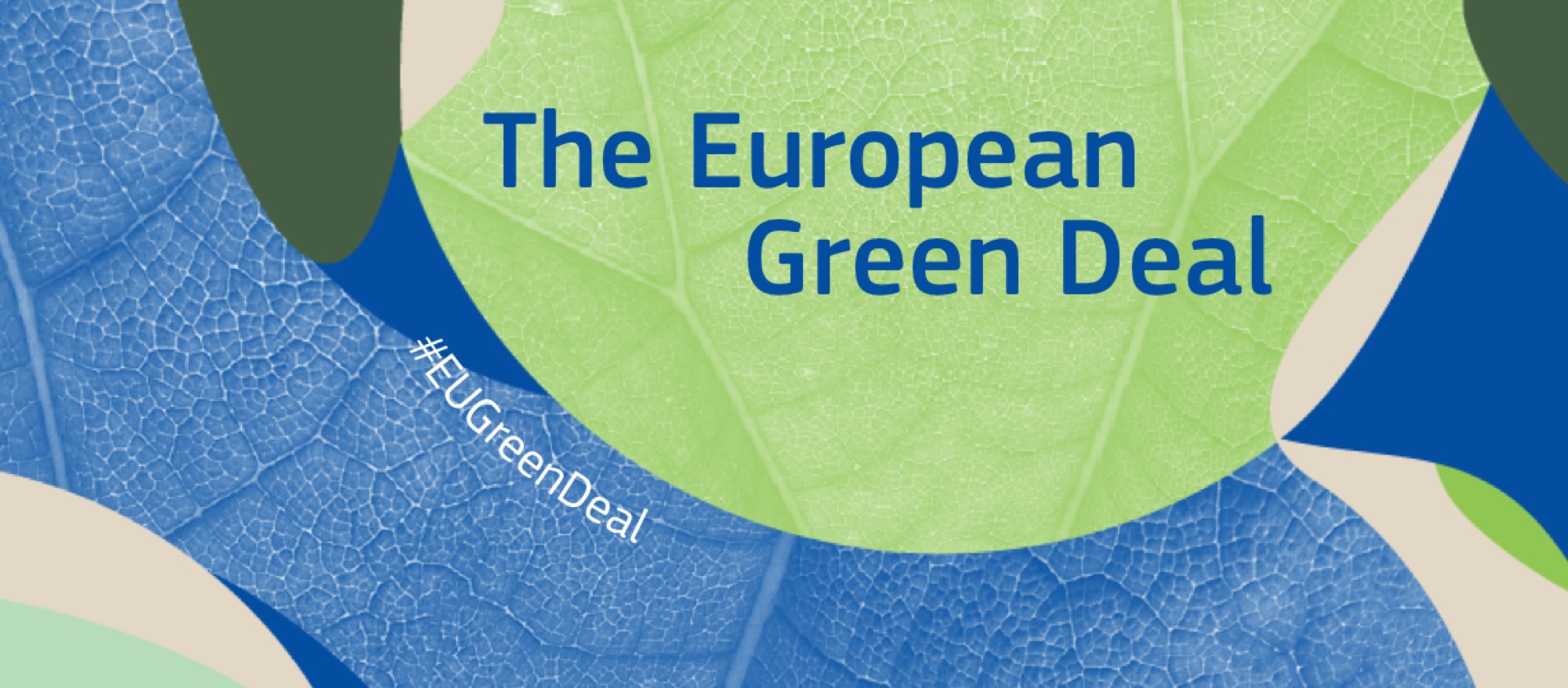 EU Green Deal verändert die Wirtschaft – jetzt proaktiv handeln!